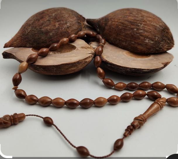 Kuka Ağacı Meyvesi